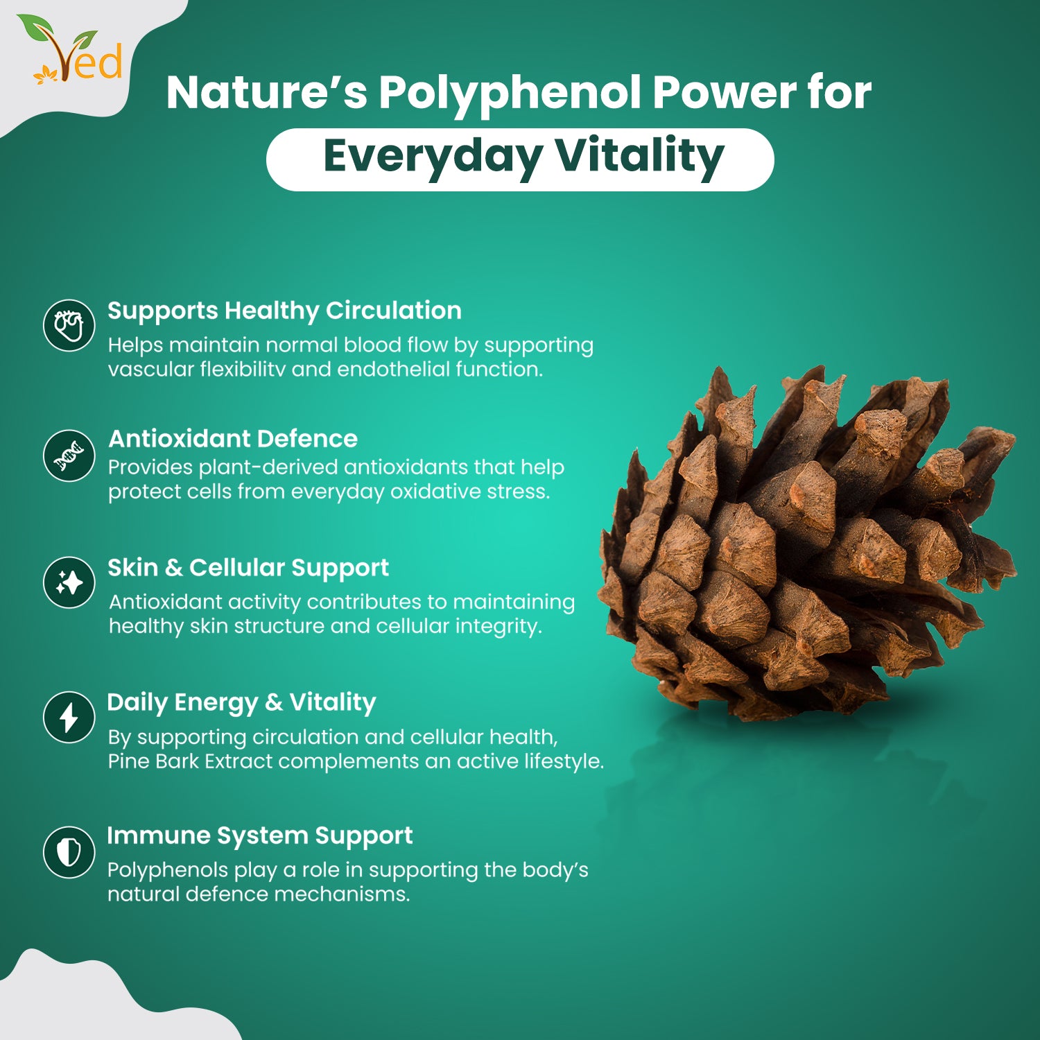 Pine Bark Extract 250mg | 90 vegan Capsules | High Strength Supplement |