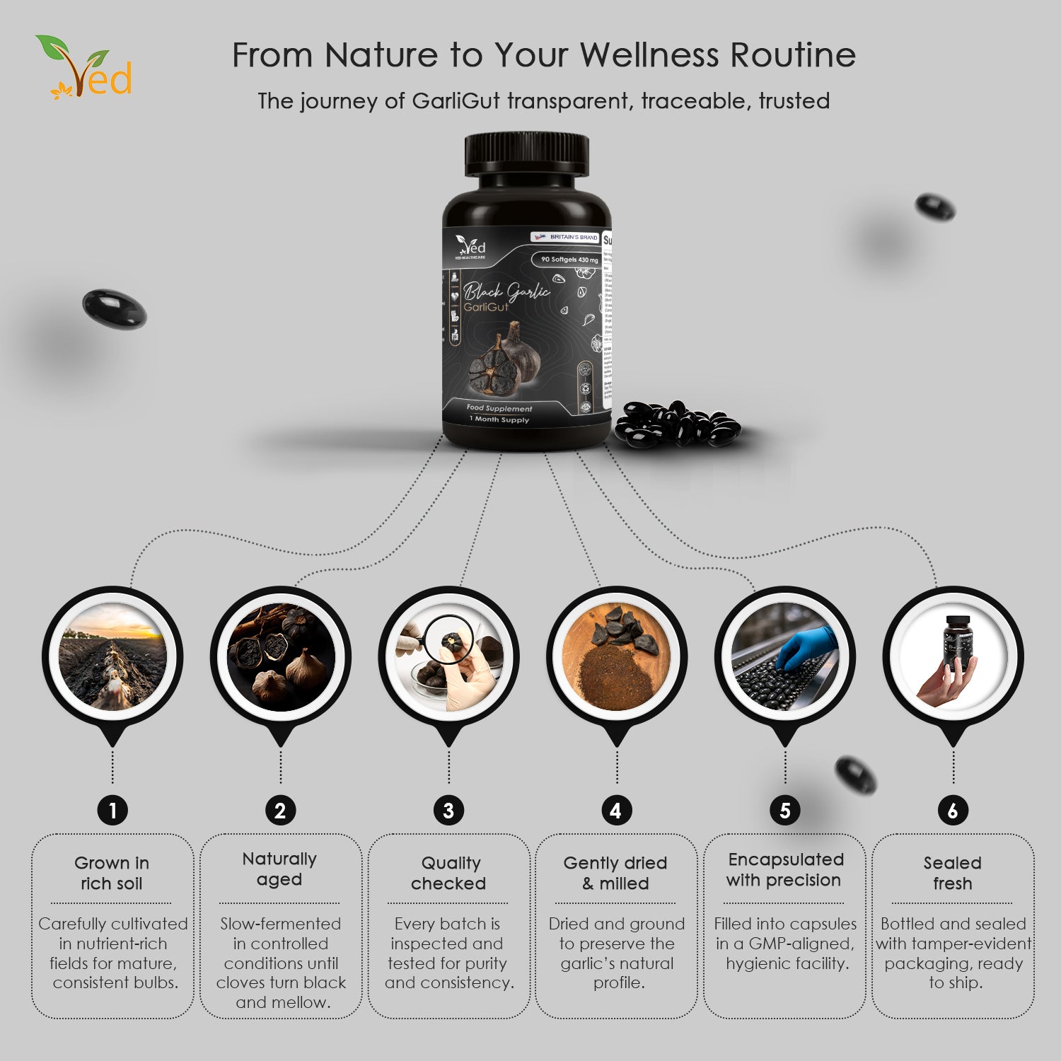 VED GarliGut, 90 Softgels, Fermented & Odorless Black Garlic Supplement with chamomile flower, peppermint leaf, caraway fruit, angelica archangelica root, rosemary leaf, Non-GMO, Halal, 3 Softgels/Day