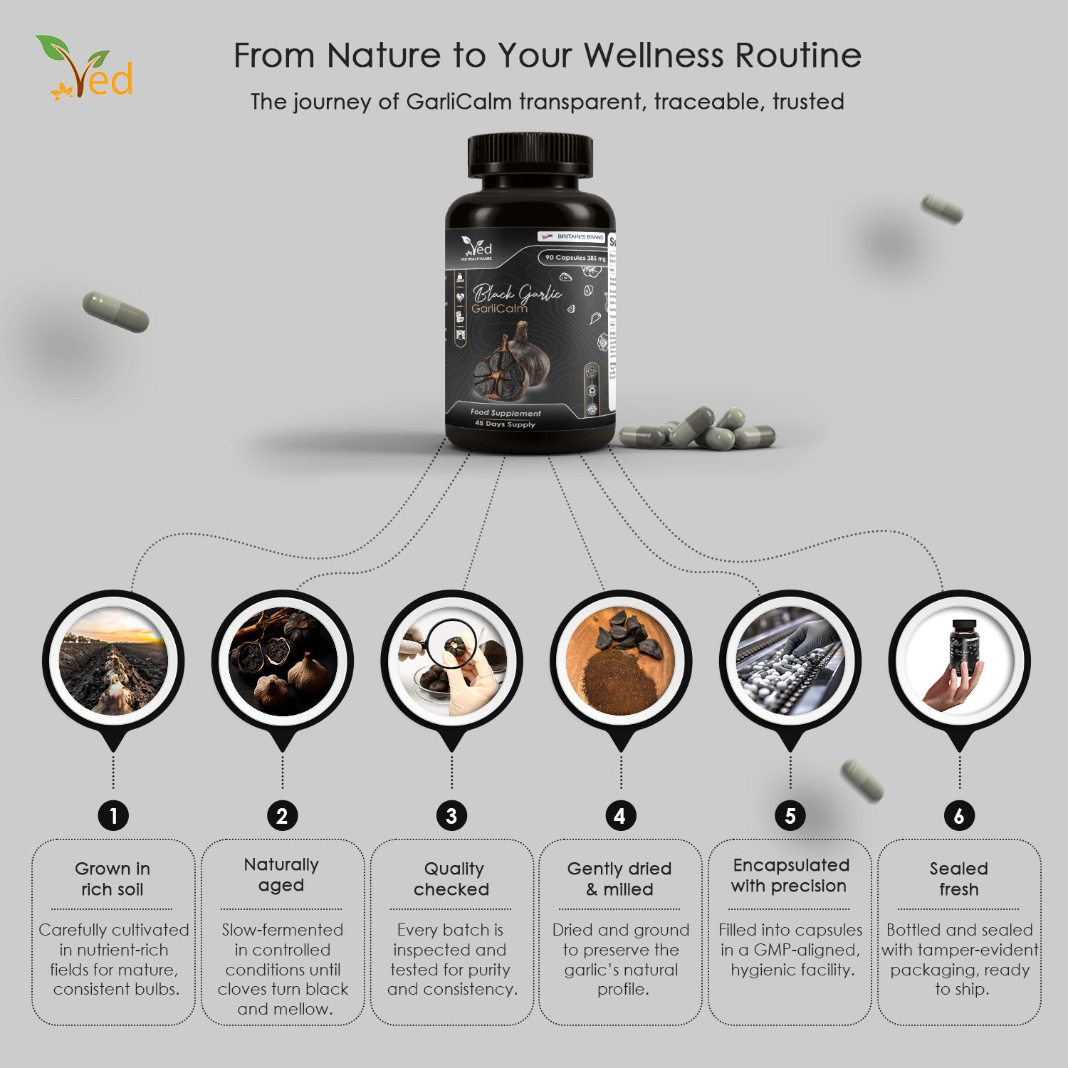 VED GarliCalm, 90 Capsules, Fermented & Odourless Black Garlic Supplement with Motherwort, Iodine & Vitamin E, Non-GMO, Halal, 2 Capsules per Day.