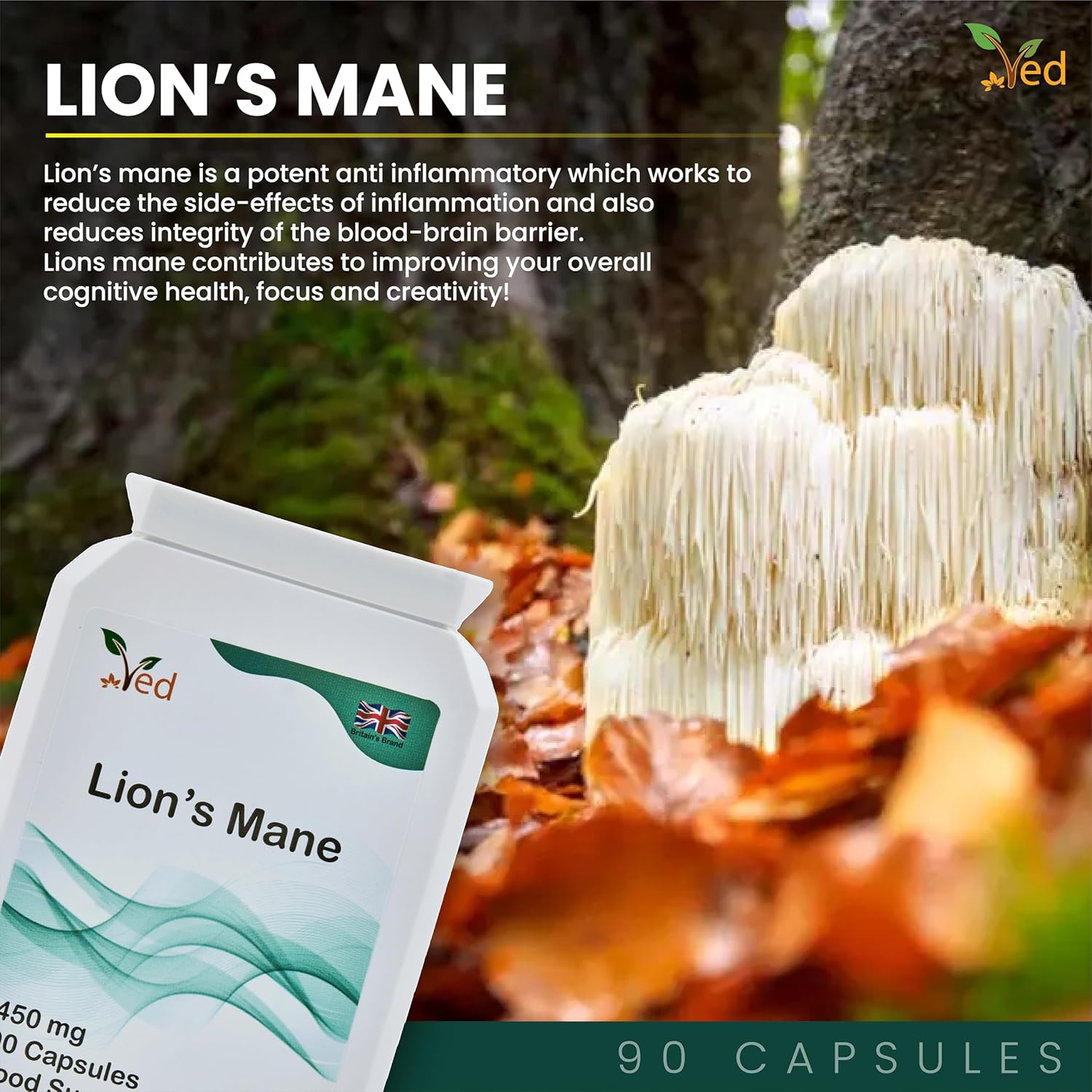 Ved Lion’s Mane Supplement 450mg, 90 Capsule (3 Months Supply)