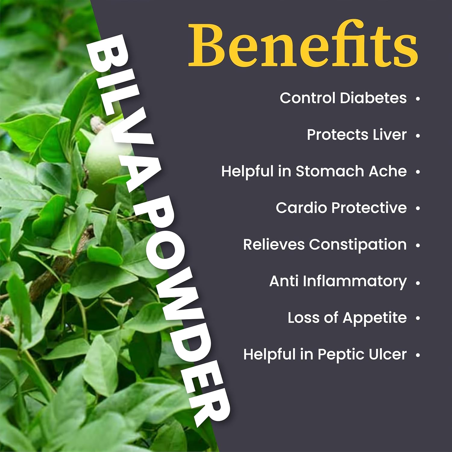 Ved Bilva Fruit Powder, Aegle Marmelos Correa,100% Pure, Clean and Natural,100g (35 Days Supply)