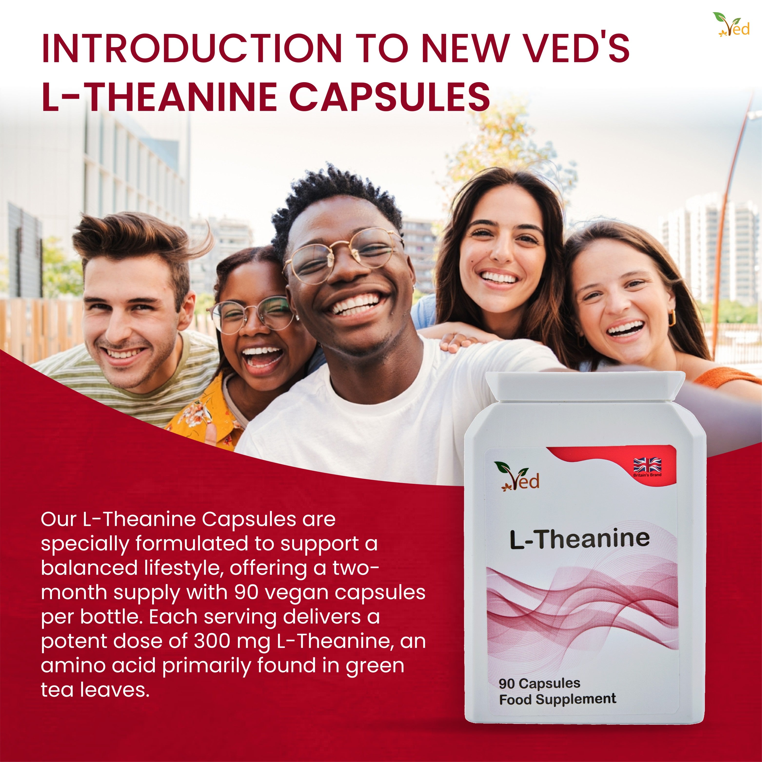 Ved L-Theanine Capsule, 90 Capsules(45 Days Supply)