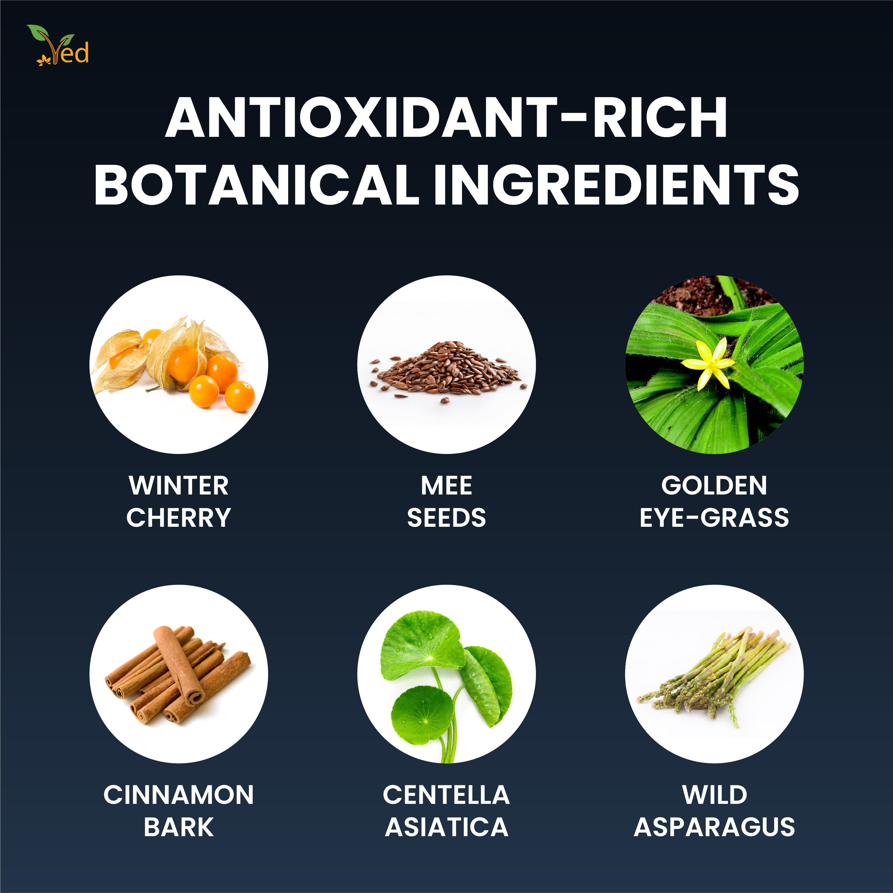 Ved Tea bag 20 Tea Bags (Vitality Clarity Tea)