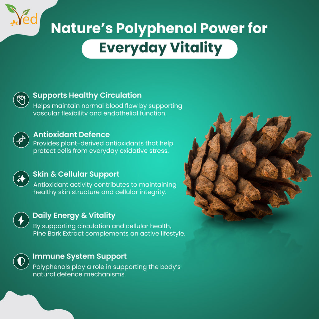 Pine Bark Extract 250mg | 90 vegan Capsules | High Strength Supplement |