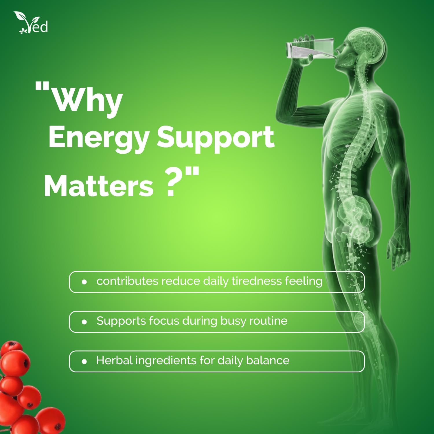 Ved Ginseng liquid Food Supplement (500 ml)