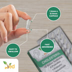 Ved Cholesterol Complex Probiotics and Prebiotics Complex - 10 Billion CFU - 20 Live Bacterial Cultures - 28 Probiotic Complex Capsules for Children - Lactobacillus Helveticus, Silicon dioxide(Peck of 2)