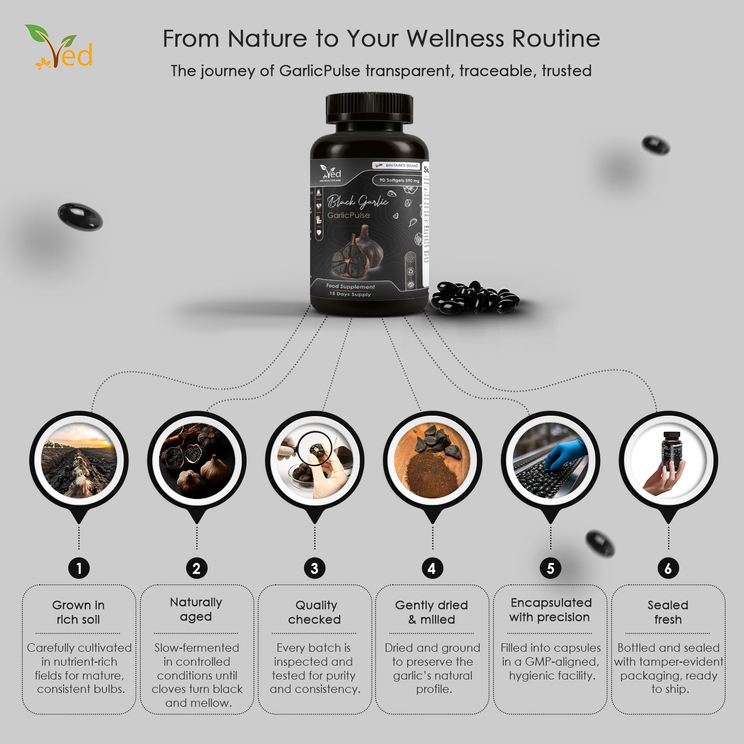 VED GarlicPulse, 90 Softgels, Fermented & Odorless Black Garlic Supplement with White Hawthorn Flower and Leaf, White Mistletoe herb, Non-GMO, Halal, 6 Softgels per Day