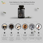 VED GarliCalm, 90 Capsules, Fermented & Odourless Black Garlic Supplement with Motherwort, Iodine & Vitamin E, Non-GMO, Halal, 2 Capsules per Day.