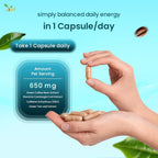 Ved's Shape Up Slimming Capsule, Garcinia cambogia & Green Tea Extract, 60 Vegan Capsule (60 Days Supply).