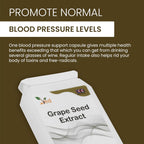Ved OPC Grape Seed Extract Capsules, 90 Capsule (3 Months Supply)