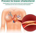Ved Cholesterol Complex Probiotics and Prebiotics Complex - 10 Billion CFU - 20 Live Bacterial Cultures - 28 Probiotic Complex Capsules for Children - Lactobacillus Helveticus, Silicon dioxide(Peck of 2)