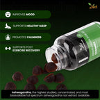 Ved Ashwagandha (KSM-66) Gummies (Pack of 2)