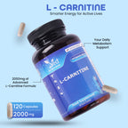 L -Carnitine Supplement 120 Vegan Capsules – Pure L-Carnitine Powder Pre-Workout for Men & Women – Vegan, Gluten Free, GMO Free.